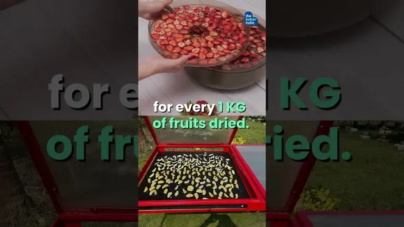 Solar Dryers That Save Crops, Cash & Carbon