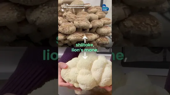 'Farm In a Room' Now Earns Her Rs 5 Lakh/Month