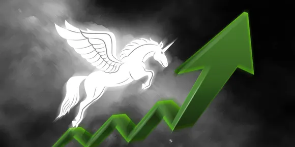 unicorn