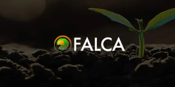 Agritech startup Falca raises over $3 Mn in pre-Series A