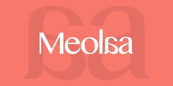 Meolaa raises $2 Mn in seed round led by Turbostart