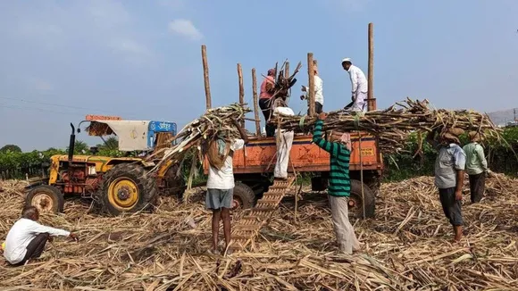 PM Kisan, PM Kisan 20th instalment, e-KYC process, PM-Kisan scheme, beneficiary status, Aadhaar linking, पीएम किसान 19वीं किस्त, ई-केवाईसी प्रक्रिया, पीएम-किसान योजना, लाभार्थी स्थिति, आधार लिंकिंग