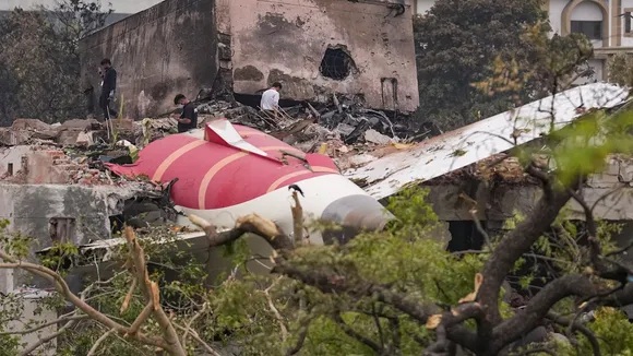 Boeing 787 software glitch, Air India plane crash 2025, AI-171 crash investigation, FADEC failure Boeing, Mary Schiavo Boeing allegations