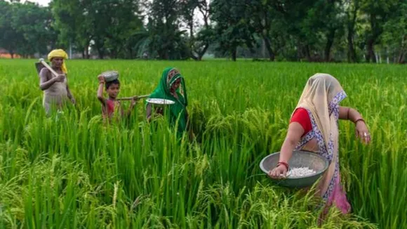 Budget 2025, PM Dhan Dhanya Krishi Yojana