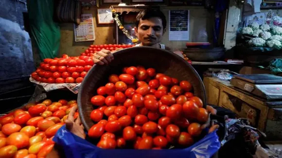 tomato price