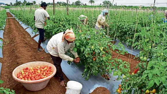 why govt gives subsidy
