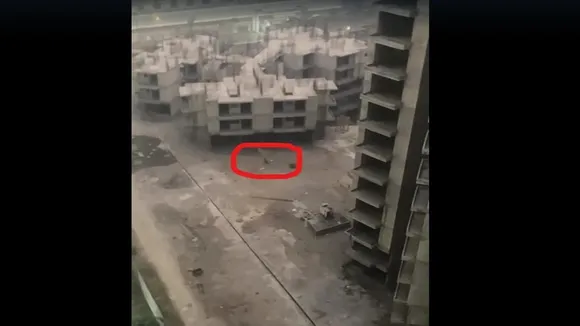Leopard in Residential Society: मेरी सोसायटी में 8 दिन से मौजूद है तेंदुआ, 1 दिन पहले हुआ कंफर्म, सर्च जारी, लोगों में दहशत