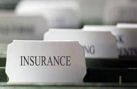 know here about points to remember while purchasing term insurance plan