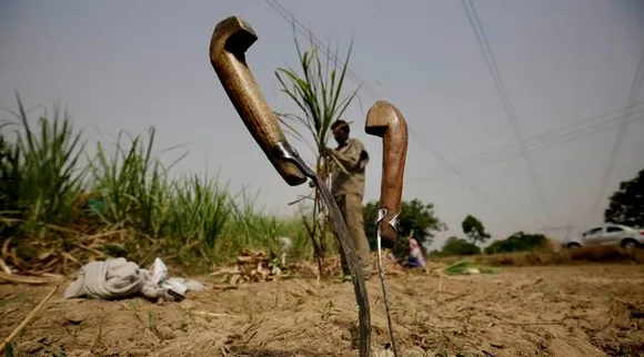 Monsoon Delay : बारिश से महरूम देश के बड़े हिस्से में खरीफ की बुवाई पिछड़ी, दलहन तिलहन और कपास की खेती खराब