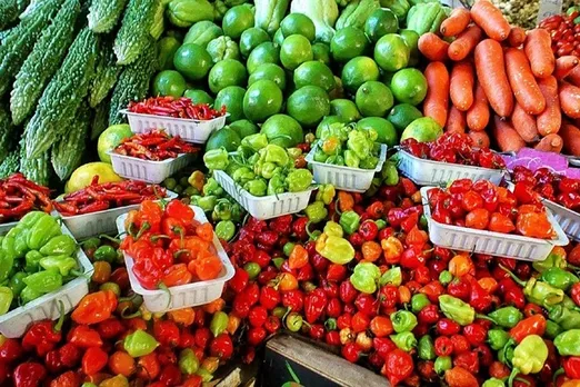 now consumers can buy groceries directly from farmers, MSME Minister Nitin Gadkari launched online portal, VedKrishi