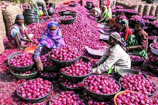 Onion Price : मोदी सरकार का दावा, बफर स्टॉक से 1.11 लाख टन प्याज किया जारी, 5 से 12 रुपये तक कम हुए दाम