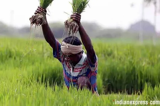 Kharif season, Kharif foodgrains, Kharif foodgrains production, Agri Min Narendra Singh Tomar, new farm laws, covid19 pandemic
