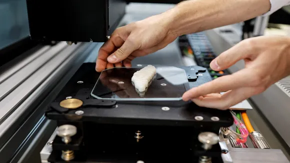 fish makes by 3D printer