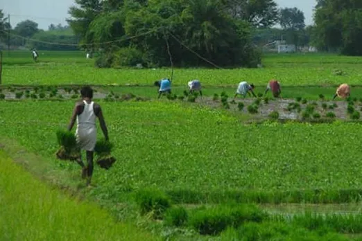 modi government launches online agri hackathon chance to win one lakh rupees prize