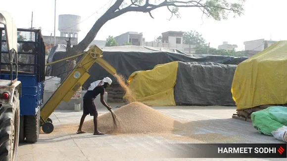 Wheat Flour Price: भारत ने रोका गेहूं का निर्यात, तो इस देश में रोटी हुई महंगी, 850 रु किलो हुआ आटा