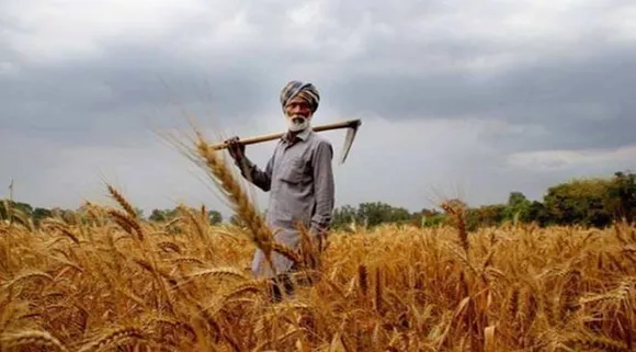 PM Fasal Bima Yojana: फसल बर्बाद होने पर भी मिलेगी सुरक्षा, सरकार किसानों को कितनी देती है रकम
