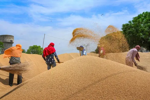 CM yogi adityanath, Uttar Pradesh government, wheat procurement, wheat procurement date in UP, wheat procurement in UP, wheat procurement centers in UP, geotagging, wheat msp,