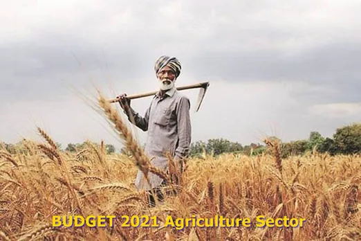 budget 2021 for agriculture sector union budget 2021 announcement for agriculture sector presented by finance minister nirmala sitharaman in modi government