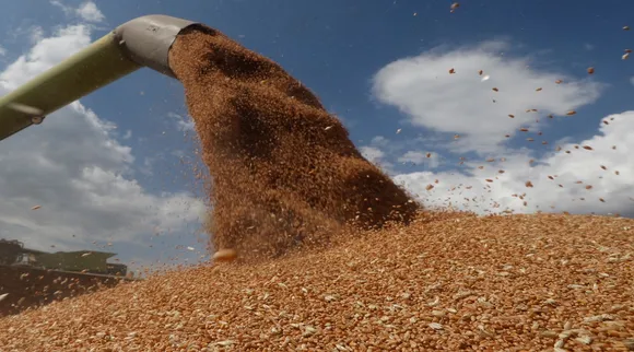 Food Crisis: रूस और यूक्रेन जंग से कई देशों में फूड क्राइसिस का डर, भारत पर क्या होगा असर, कहां टेंशन तो कहां है मौका?