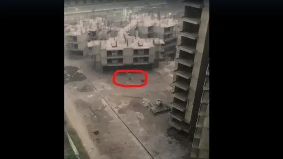 Tiger, Tigress, Leopard Seen, Residential Society, Noida Extension, Ajnara Le Garden, शेरनी, शेर, तेंदुआ, नोएडा एक्सटेंशन, ग्रेटर नोएडा वेस्ट, ग्रेटर नोएडा, अजनारा ली गार्डन