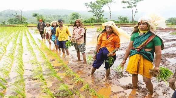 pm kisan