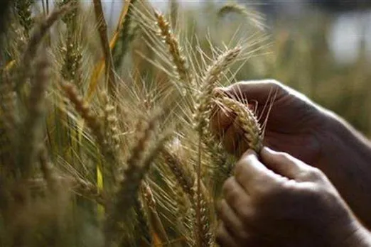 crop, foodgrains, Pradhan Mantri Fasal Bima Yojana (PMFBY), Restructured Weather Based Crop Insurance Scheme (RWBCIS)