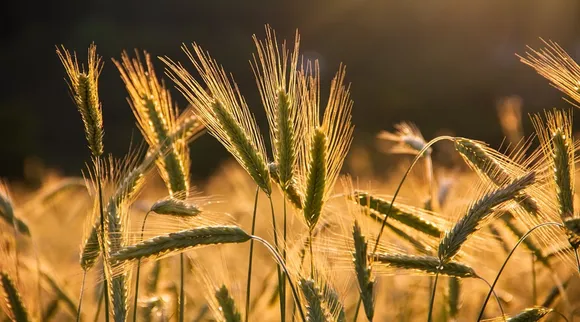 Budget Expectations from the agriculture and Commodities sector know here what experts demand from budget 2022-23 by finance minister nirmala sitharaman pm narendra modi