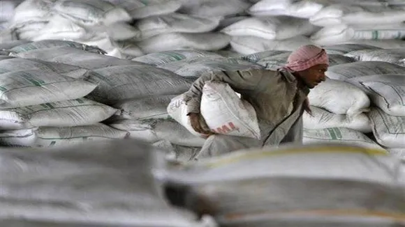 Ambuja Cements Results: अंबुजा सीमेंट्स का कन्सॉलिडेटेड नेट प्रॉफिट 13.2% बढ़ा, रेवेन्यू में 3.7% का इजाफा