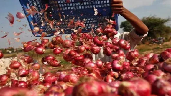 Onion Price News