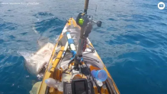 Shark-attacks-boat