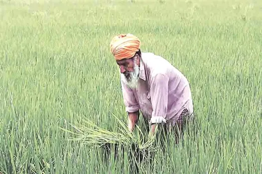 good news for farmers bumper kharif harvest in this season and recover in prices