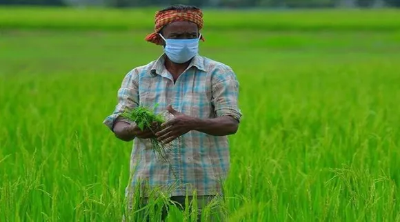 PM Kisan e-KYC: सालाना 6000 रु का चाहिए लाभ, 31 मई के पहले जरूर करें यह काम, सरकार ने बहाल की ये सुविधा