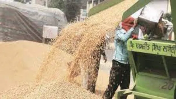 Wheat, RFMFI, Wheat prices, Wheat Flour prices, Wheat Procurement, FCI, Wheat Sell in Open Market, गेहूं, आटा, गेहूं की कीमतें, आटे की कीमतें, गेहूं की बिक्री, एफसीआई, मोदी सरकार, अमित शाह, फूड इंफ्लेशन, किसान संगठन, गेहूं की खरीद, रबी सीजन