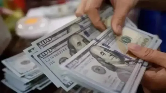 FPIs Outflow