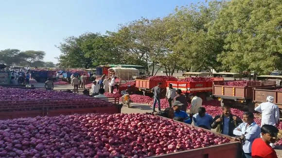 Onion Prices Today