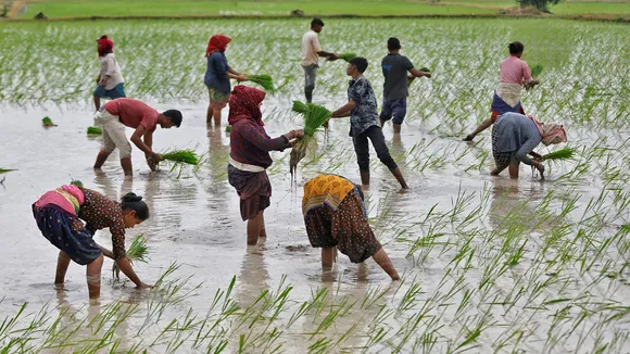 Monsoon India