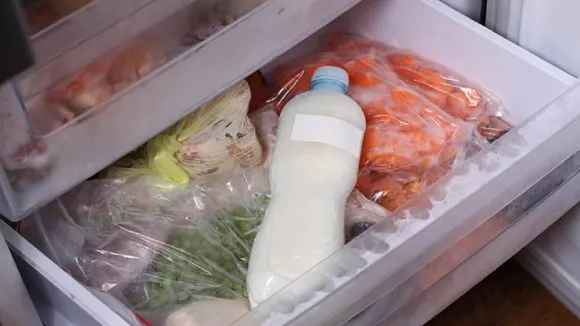 freezer_food_incopy