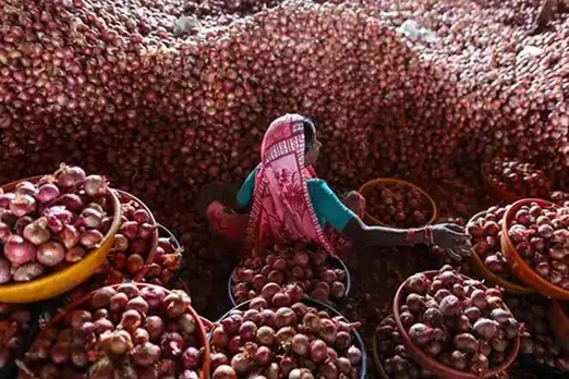 onion price, wpi, wholesale price, crude price