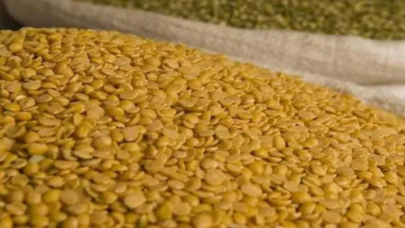 tur arahar dal price rose