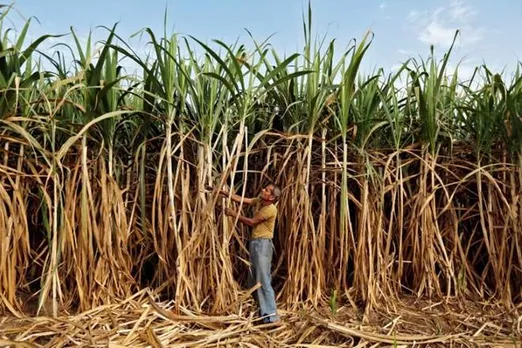 big relief for sugarcane farmers CCEA approves increase in FRP by Rs 10