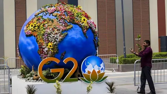 G-20 Focused Portfolio