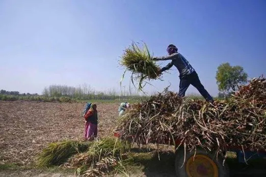 PM Kisan, PM Kisan Yojana, 2000 rupees installment, farmers not get installment proper, 6000 rs annual to farmers, RTI On PM Kisan, प्रधानमंत्री किसान योजना, farmers registration