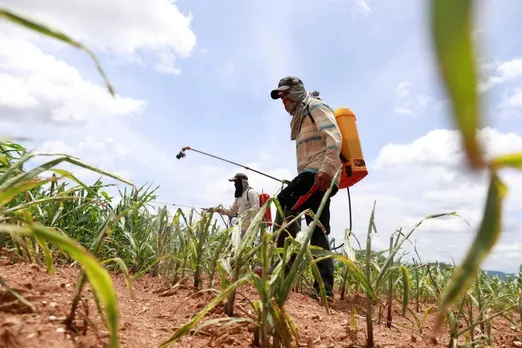 India Pesticides IPO : मजबूत फंडामेंटल्स और वाजिब वैल्यूएशन, क्या आपको निवेश करना चाहिए?