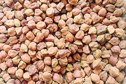 protein rich source chana prices of more than 13 percent this year 2021 know here the details why chana price increasing