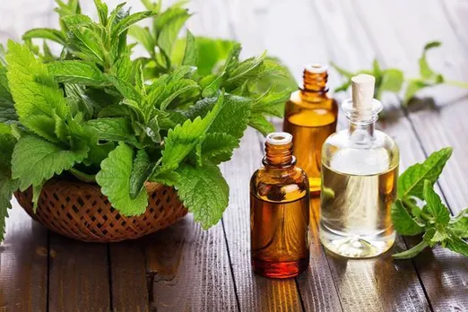 Mentha oil rate today : मेंथा ऑयल में दो दिनों में दूसरी बड़ी गिरावट, निवेशकों के लिए अब क्या है सही रणनीति