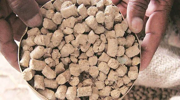 Soybean Price: एडिबल ऑयल होगा सस्‍ता; सोयाबीन की कीमतों में 1000 रु आ सकती है गिरावट, ये है वजह