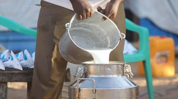 Dairy Stocks: मजबूत डिमांड के बीच दूध-दही के बढ़ रहे हैं दाम, ये डेयरी स्टॉक कर सकते हैं आउटपरफॉर्म