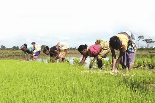 The removal of restrictions under the Essential Commodities Act (ECA) is, by far, the most important measure.