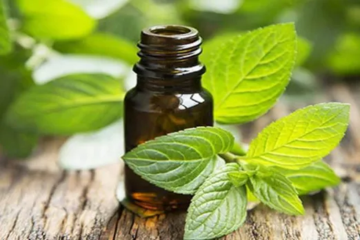 Mentha oil rate today : पूरे सप्ताह मेंथा ऑयल में गिरावट जारी, लेकिन मांग बढ़ने की उम्मीद में निवेशक हैं डटे