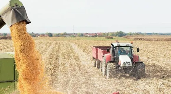 Wheat Price: क्या दोगुने भाव में ​मिलेगा गेहूं? खुले बाजार में बढ़ी मांग, इन वजहों से सरकार की बढ़ सकती है मुसीबत